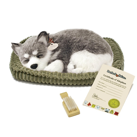 Perfect Petzzz Alaskan Husky Pet - #XP91-03