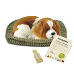 Perfect Petzzz Cavalier King Charles - #XP91-20