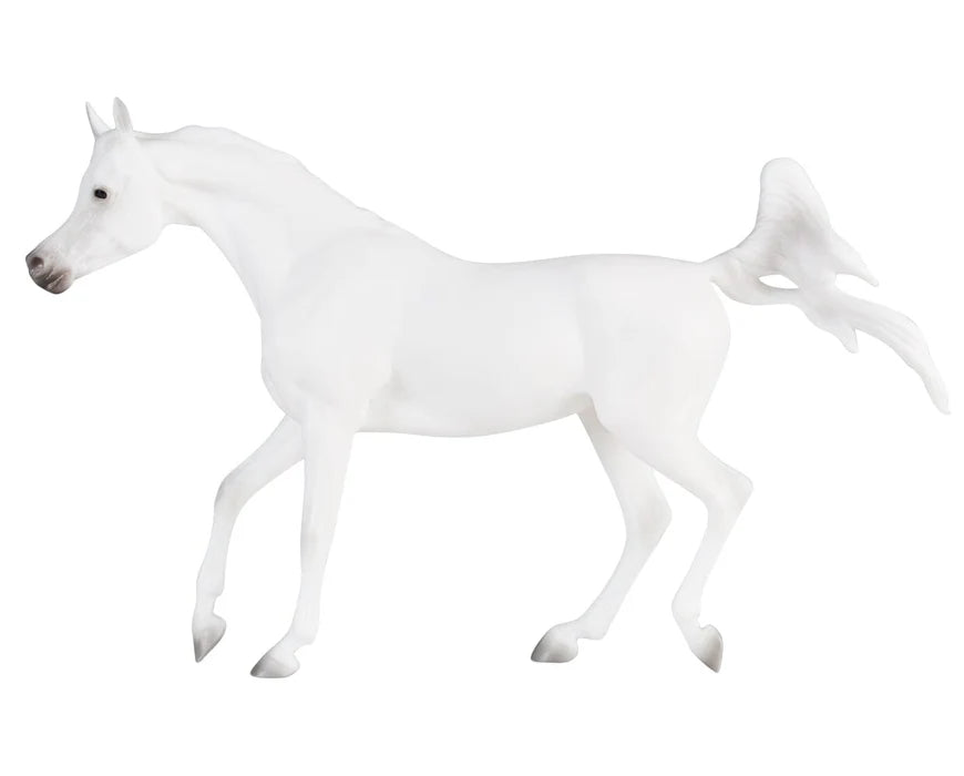 Breyer Freedom Series #10612 Grey Arabian - Brand New!