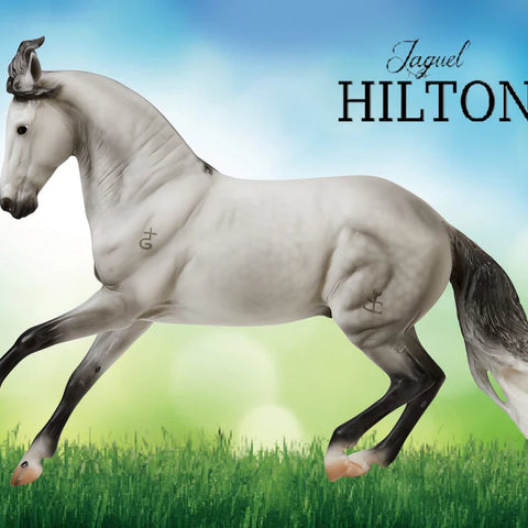 Breyer Traditional #10668 Criollo Stallion Jaguel Hilton - Brand New!