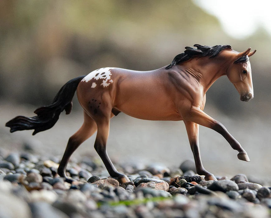 Breyer Traditional Horse #10807 Mr. Shining Gun Appaloosa - Brand New!