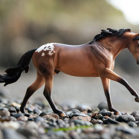 Breyer Traditional Horse #10807 Mr. Shining Gun Appaloosa - Brand New!